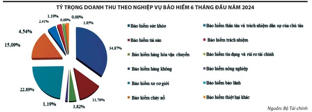 Bảo hiểm tài sản chịu bão!